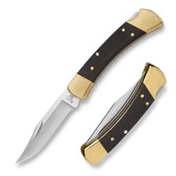 Buck 110 Folding Hunter product photo